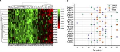 DNA structural properties of DNA binding sites for 21 transcription factors in the mycobacterial genome